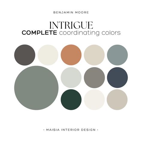 Whole House Paint Palette BENJAMIN MOORE Color Palette INTRIGUE Coordinating Color Palette Home Color Scheme Home Color Scheme Idea - Etsy Color Palette Industrial, Benjamin Moore Color Combinations, Moody Paint Palette, Benjamin Moore Whole House Color Scheme, Living Room Color Pallet Ideas, Dark Grey Color Scheme, Spa Color Palette, Benjamin Moore Color Palette, Whole House Paint Palette