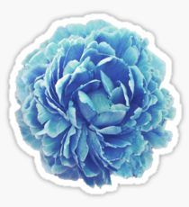 Blue Flower Sticker, Blue Flower Pictures, Cinderella Blue, Blue Floral Wallpaper, Blue Flower Wallpaper, Tumblr Stickers, Light Blue Flowers, Hydroflask Stickers, Plant Drawing