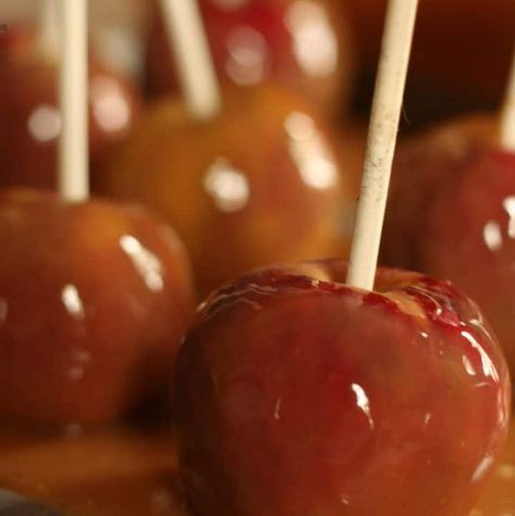 Best Caramel Apple Recipe, Fall Desserts Recipes, Unique Fall Desserts, Homemade Taffy, Recipes With Apples, Homemade Caramel Apples, Caramel Apple Bites, Taffy Apple, Candy Apple Recipe