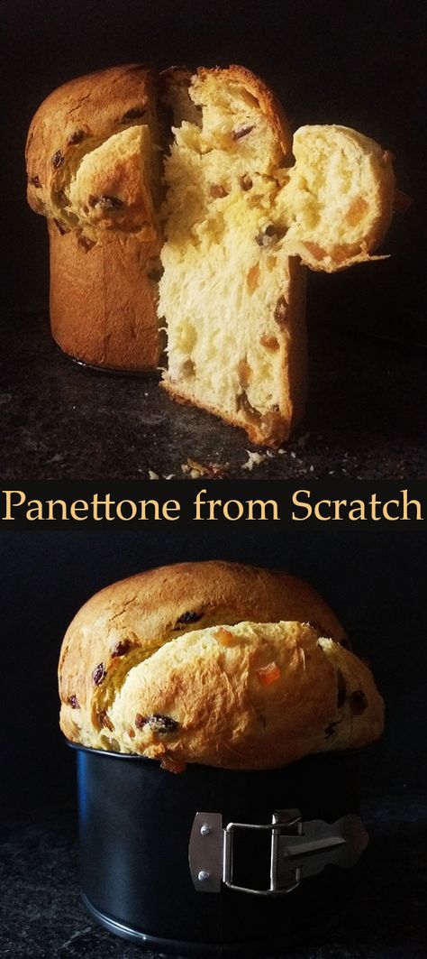 Homemade Panettone Recipe, Authentic Panettone Recipe, No Knead Panettone, Pannetone Recipe Sourdough, Christmas Yeast Bread Recipes, Pantone Bread Recipe, Pannetone Recipe Desserts, Panatone Bread Recipe, Sourdough Panettone Recipe