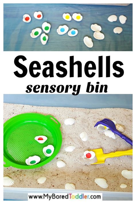 Seashells Sensory Bin Summer Sensory Activities, Sensory Play For Toddlers, Spring Sensory, Preschool Ocean, Sensory Play Toddlers, Toddler Sensory Bins, Child Education, Ocean Activities, Toddler Sensory