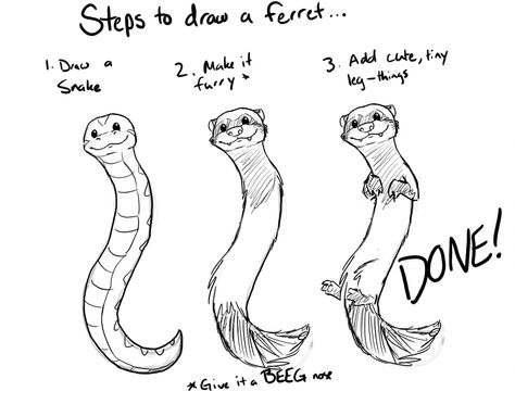 Anime Ferret, Ferret Ideas, Ferret Drawing, Ferret Toys, A Ferret, Pet Ferret, Cute Ferrets, Drawing Animals, Toys Diy