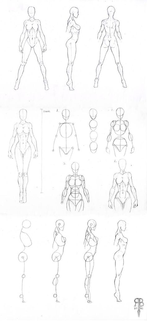 Human Body Drawing, Drawing Female Body, Výtvarné Reference, Siluete Umane, Body Sketches, 인물 드로잉, Gambar Figur, Body Anatomy, Anatomy Drawing