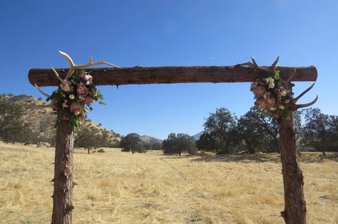 Protea Rustic Wedding Arch with Antlers Antler Wedding Arch, Deer Head Wedding Arch, Wedding Arches With Antlers, Wedding Arch Antlers, Elk Antler Wedding Arch, Deer Skull Wedding Arch, Wedding Arch Deer Antlers, Antler Shed Wedding Decor, Rustic Wedding Decor Antlers