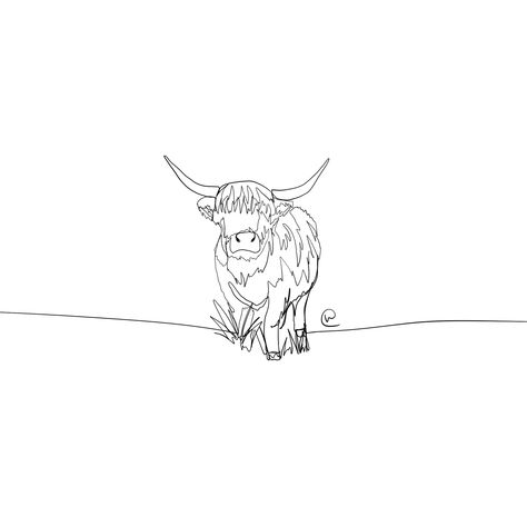 Cow Line Drawing, Highland Cow Tattoo, Scotland Tattoo, Highland Cow Painting, Cow Tattoo, Cow Drawing, Single Needle Tattoo, Bull Tattoos, Tattoo Graphic