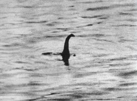 loch ness monster | ... ll Turn Loch Ness Monster into Sushi! | Best and Worst of Horror Mysteries Of The World, Legends And Myths, The Boogeyman, Loch Ness Monster, Loch Ness, Urban Legends, Sea Monsters, Toys Photography, Leicester