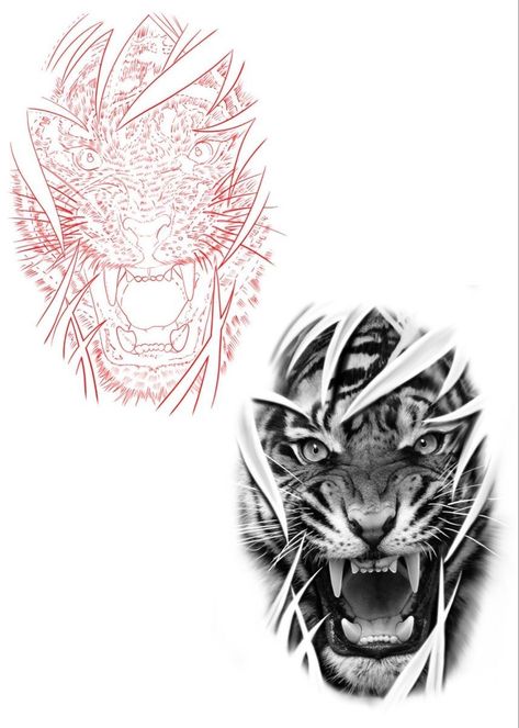 Fine Line Tattoo Stencil Outline, Angry Tiger Drawing, Tiger Drawing Tattoo, Tiger Face Stencil, Realistic Tiger Tattoo Design, Tiger Sketch Tattoo, Tattoo Tiger Design, Tiger Tattoo Realistic, Real Tattoo Designs