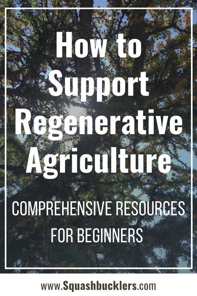 Regenerative Gardening, Ecosystem Restoration, Regenerative Farming, Regenerative Agriculture, Farm Plans, Agricultural Land, Future Farms, Agriculture Education, Permaculture Gardening