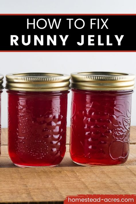 What To Do When Your Jelly Doesn’t Set, How To Can Jams And Jellies, How To Can Jelly, How To Fix Jelly That Didnt Set Up, How To Fix Runny Jam, How To Fix Jelly That Didn’t Set, How To Fix Runny Jelly, Canning Jelly Recipes, Canning Jelly