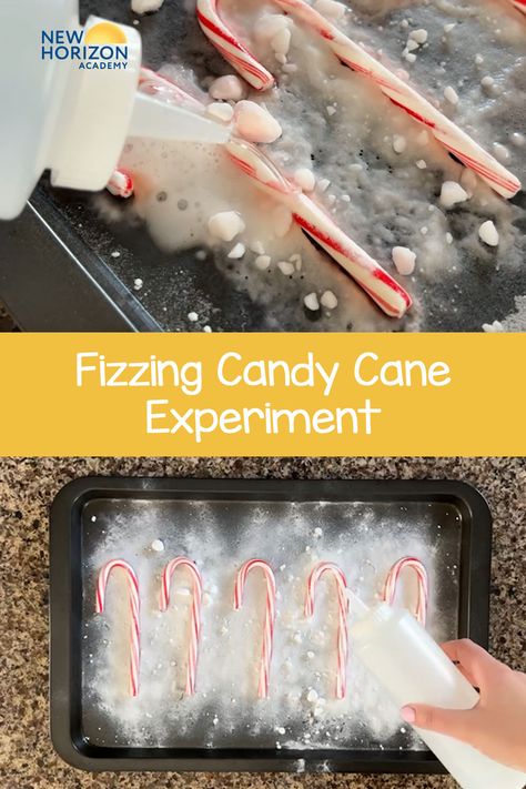 Candy Cane Melting Experiment, Candy Came Christmas Ideas, Fizzy Candy Cane Experiment, Candy Cane Dissolving Experiment, Fizzing Candy Cane Experiment, Technology For Preschoolers Activities, After Christmas Activities For Kids, Candy Cane Process Art, Christmas Science For Preschool