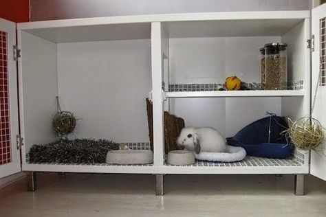 A collection of only the BEST DIY indoor rabbit hutches from around the web - ideal for those looking to bring their fur babies in out of the cold this Christmas. If you've already made one of your own, comment your images below! Bunny Hutches, Rabbit Things, Indoor Rabbit House, Rabbit Hutch Plans, Diy Rabbit Cage, Rabbit Hutch Indoor, Diy Rabbit Hutch, Rabbit Stuff, Bunny Hutch