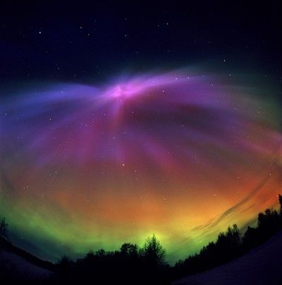 The northern lights captured by Dennis Anderson, film photographer. Southern Lights, Nebulas, Northern Lights (aurora Borealis), Aurora Borealis Northern Lights, Image Nature, Film Photographer, The Northern Lights, The Aurora, To Infinity And Beyond