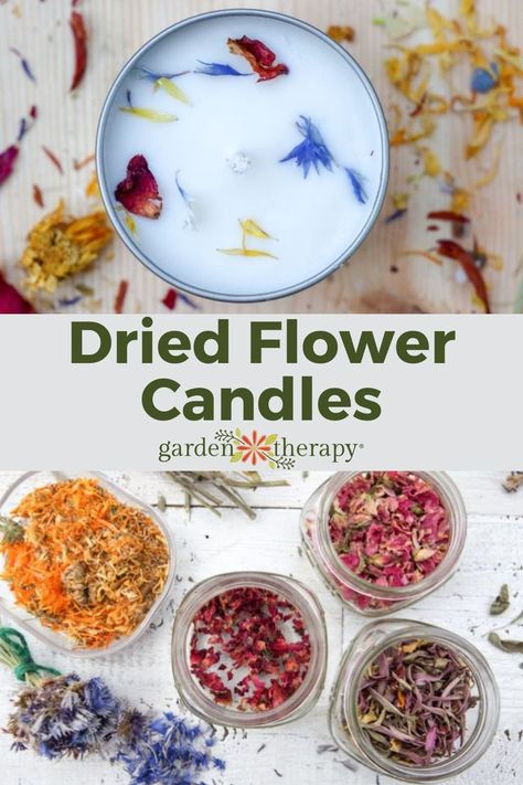 A homemade candle with pressed dried flowers and four jars filled with assorted dried flowers. Diy Natural Candles, Homemade Candle Recipes, Pressed Flower Candles, Diy Candles With Flowers, Candle Scents Recipes, Dried Flower Candles, Candle Making Recipes, Herbal Candles, Flower Candles