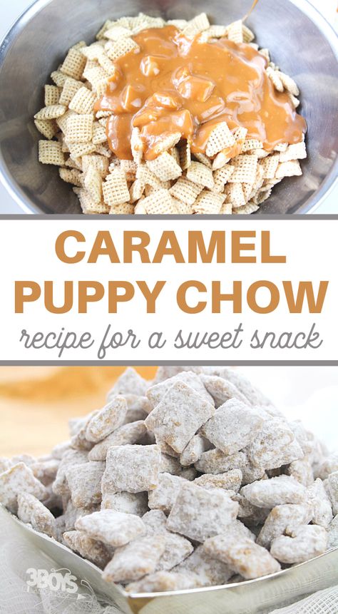 Caramel Puppy Chow, Chex Treats, Puppy Chow Snack, Chex Mix Puppy Chow, Sundae Toppings, Chow Recipe, Muddy Buddies Recipe, Muddy Buddy, Puppy Chow Recipes