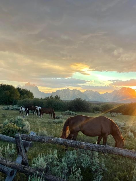 Horse Core Aesthetics, Western Life, Horse Aesthetic, Country Lifestyle, Western Aesthetic, Pretty Landscapes, Ranch Life, Horse Life, Pretty Horses