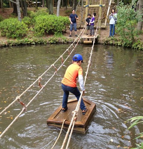 Rope Bridge, Sport Park, Ropes Course, Natural Playground, Outdoor Classroom, Play Spaces, Backyard Play, Backyard Playground, Nature Play