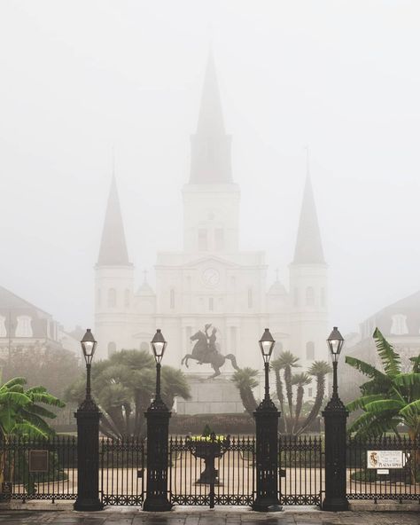 Does this view ever get old? It's actually a very welcome sunny chilly day in New Orleans but we've had some amazing foggy mornings this… Angel Oak, St Louis Cathedral, Ivy House, New Orleans Homes, My Kind Of Town, Foggy Morning, New Orleans Wedding, Big Easy, Back Road