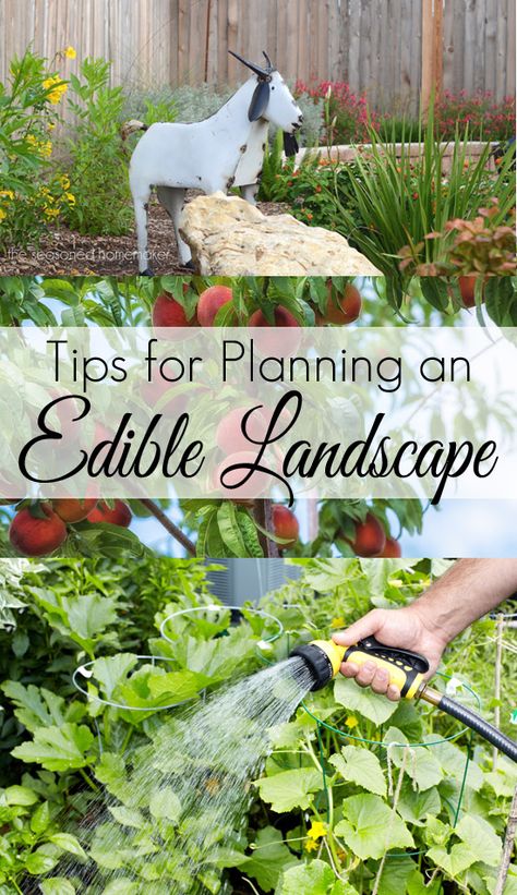 Vegetable Garden Landscaping, Edible Landscape, Garden Types, Edible Landscaping, Landscape Plans, Landscaping Tips, Garden Landscape, Veggie Garden, Edible Garden