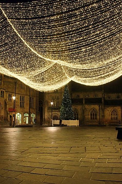 Patio Lights - Discover thousands of brands and amazing products, all catered for the modern shopper like YOU. Check It Out Now! Indoor Canopy, Wedding Canopy, Twinkly Lights, Lighting Decoration, December Wedding, Canopy Lights, Patio Lighting, String Lights Outdoor, Outdoor Party