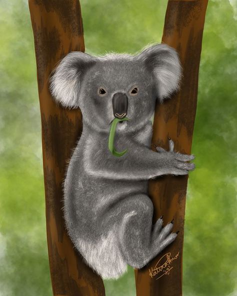 Koala Bear Painting, Koala Painting, Painted Animals, Color Me Mine, Bear Paintings, Save Nature, Painting Competition, Fluffy Texture, Grey And Green