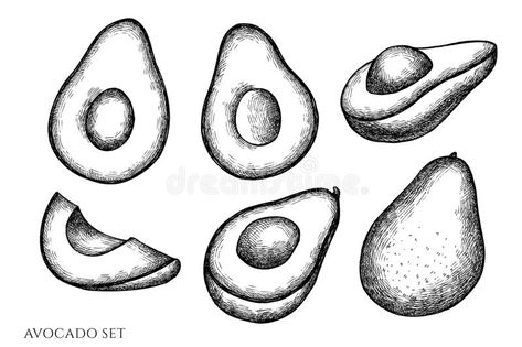 Avocado Drawing Reference, How To Draw An Avocado, How To Draw Avocado, Avocado Drawing Simple, Avocado Drawings, Avocado Sketch, Avocado Doodle, Fruit Black And White, Fruit Reference