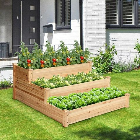 Wooden Garden Boxes, Outdoor Raised Garden Beds, Wood Raised Garden Bed, Wooden Raised Garden Bed, Wooden Garden Bed, Vegetable Garden Beds, Elevated Planter Box, Stair Design, Vegetable Planters