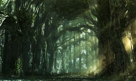 Agrin's Gate – Part VII: Tales of their pasts, The Feywild, The Town | Dave Lenton's Blog Alice Madness, Fantasy Forest, Magical Forest, Enchanted Forest, Middle Earth, Sacred Space, Fantasy Landscape, Light Up, Fantasy Art