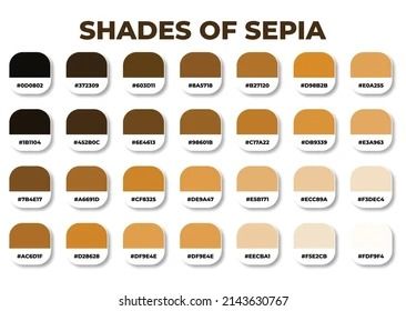 Sepia Tone Color Palettes, Sepia Color Palette, Black Nativity, Sepia Color, Painting Tutorial, Colorful Art, Color Palette, Vector Images, Color