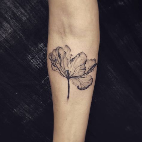 my name is Christian on Instagram: “Never get tired of these x-ray flowers @stonethecrowtattoo . . . . . . . . . #xraytattoo #xrayflower #parrottulip #tulip #blackworktattoo…” Parrot Tulip Tattoo, Xray Flower Tattoo, Tulip Tattoos, Xray Flower, Parrot Tulip, Tulip Tattoo, Tattoo Back, Flower Tattoo Back, Parrot Tulips