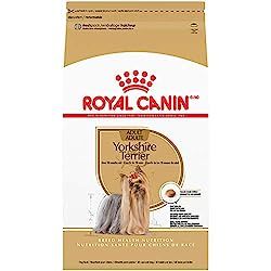 The Best Dog Foods for Yorkies (Reviews & Guide) in 2023 - The Great Pets Dog Foods, Canned Dog Food, Yorkie Lovers, Dog Personality, Royal Canin, Yorkshire Terriers, Yorkie Dogs, Best Dog Food, Yorkie Puppy