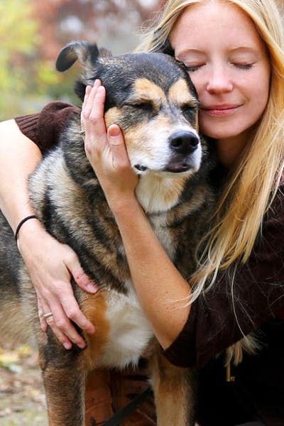 Petting Dog Pose Reference, Dog Hugging Human, Human With Animal, Dog And Person, Hugging Animals, Connection Branding, People With Dogs, Hugging Dog, Dog Hug