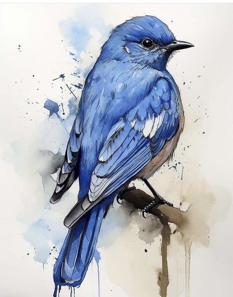 Bird With Watercolor, Watercolor Art Animals Beautiful, Bird Watercolour Painting, Watercolor Blue Bird, Watercolor Bird Art, Beautiful Watercolor Paintings Nature, Easy Beautiful Paintings, Birds Watercolor Paintings, Watercolor Bluebirds