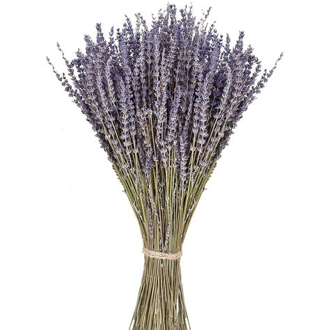 june-fox-dried-lavender-stems Pride Diy, Cottage Style Interiors, Diy Tableware, Candles Fragrance, Dried Lavender Flowers, Cottage Style Decor, Country Cottage Style, Flowers Dried, Lavender Buds