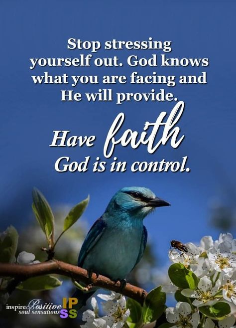 Relax God Is In Control Quotes, God Is In Control Quotes Faith, God Is In Control Quotes, In Control Quotes, Cute Good Morning Gif, True Repentance, Control Quotes, God Is In Control, Father Son Holy Spirit