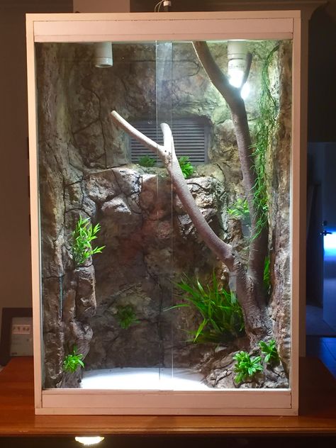 https://m.facebook.com/RockOnEnclosureBackgrounds/ Diy Arboreal Enclosure, Boa Enclosure, Python Enclosure, Iguana Cage, Snake Cages, Gecko Habitat, Snake Terrarium, Animal Enclosures, Bearded Dragon Terrarium