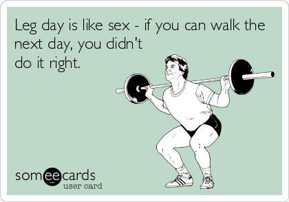 Leg Day Quotes, Leg Day Humor, Workout Memes Funny, Face Palm, Funny Truths, Funny Encouragement, Snarky Humor, Funny Sports Memes, Womens Fitness