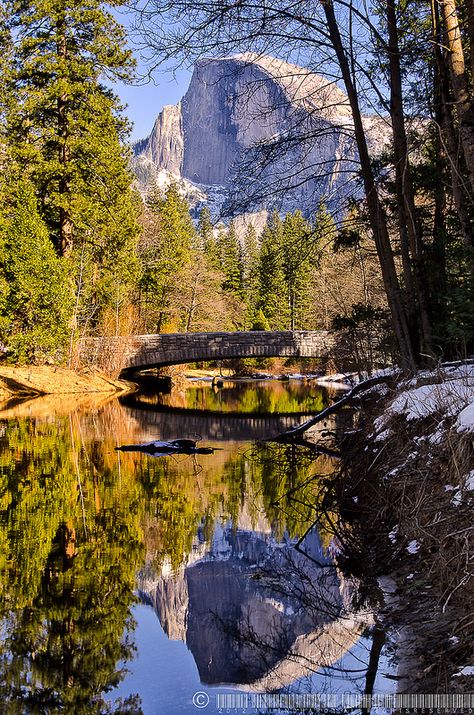 Merced River, Yosemite Park, River Bridge, National Park California, Vacation Tips, Travel Plan, Travel Planning, Camping Experience, Yosemite National