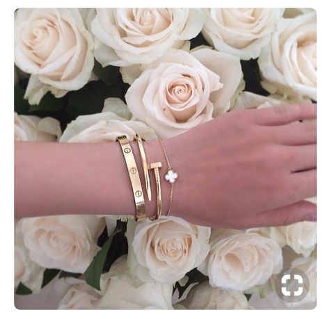 I love the Van Cleef Sweet Alhambra bracelet with the Cartier Love bracelet. Cartier Nail bracelet is not my style. Cartier Nail Bracelet, Summer Jewlery, Paracord Collar, Screw Bracelet, Bracelet Cartier, Nail Bracelet, Cartier Jewelry, Love Bracelet, Summer Bracelets