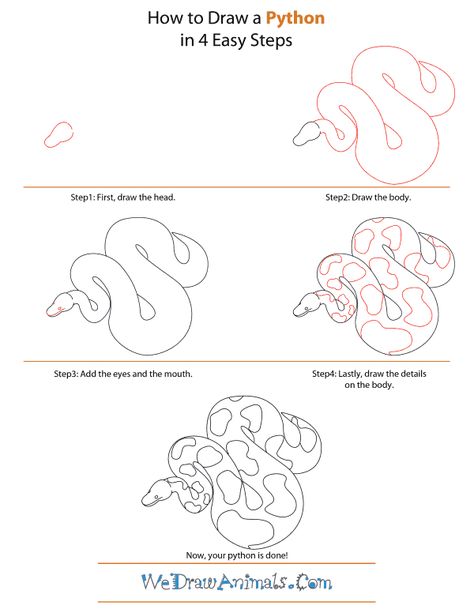 Ball Python Drawing, Python Drawing, Pencil Art For Beginners, Draw Animals, Ball Python, Character Creation, Pencil Art, Drawing Tutorial, Python