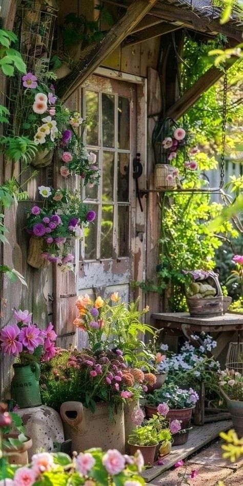 Planter Gardens, Rustic Porches, Cottage Garden Decor, Design A Garden, Garden Nook, Decor Diy Ideas, Small Garden Ideas, Cottage Aesthetic, Rustic Window