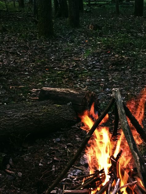 Forest Campfire Aesthetic, Faranak Core, Forest Fire Aesthetic, Hiccup Aesthetic, Campfire Aesthetic, Bonfire Aesthetic, Aesthetic Fire, Aesthetic Camping, Hiccup Haddock