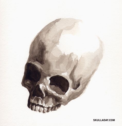 beautiful skull painting. Watercolour Skull, Watercolor Portrait Painting, Flashback Friday, Art Apps, Skull Painting, Skeleton Art, Skull Artwork, Halloween Painting, Most Satisfying