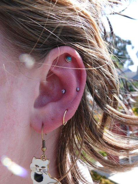 Snug piercing :) love Piercing Snug, Orbital Piercing, Snug Piercing, Conch Piercing, Helix Piercing, Blue Mountain, Conch, Helix, Tattoos And Piercings