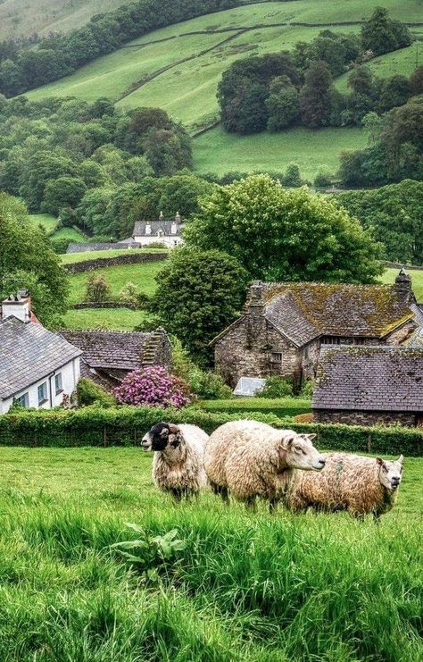 English Countryside Aesthetic, Spring Cottagecore, Countryside Aesthetic, Sheep Grazing, British Village, England Countryside, Countryside Cottage, Irish Countryside, Cottage Aesthetic