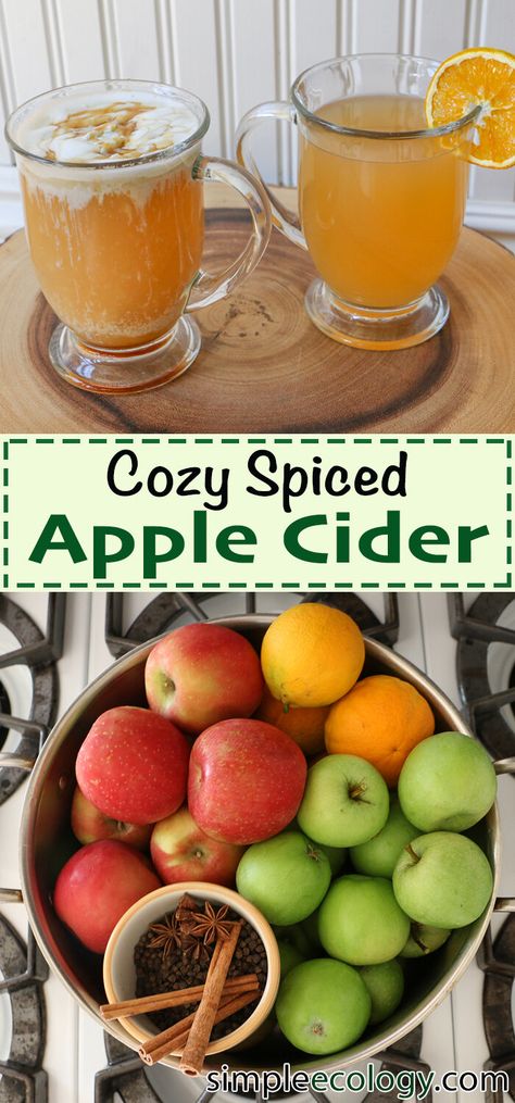 Healthy Cider Recipe, Homade Apple Cider, Hot Apple Cider Recipe Non Alcoholic, Hot Autumn Drinks, Apple Autumn Recipes, Apple Cider Drink Recipes Non Alcoholic, Autumn Hot Drinks, Homemade Fall Drinks, Vegan Fall Drinks