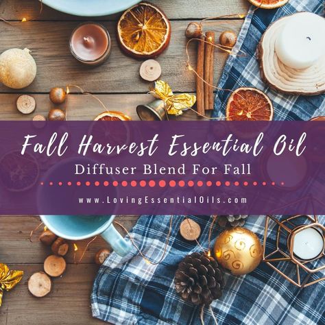 Another favorite one of our diffuser recipes for fall to enjoy diffusing! Aromatize your home with the natural smell of essential oils. FREE Diffuser Guide! Fall Ambiance, Cassia Essential Oil, Fall Essential Oils, Juniper Berry Essential Oil, Fall Diffuser Blends, Recipes For Fall, Pumpkin Spice Recipe, Aromatherapy Recipes, Essential Oil Diffuser Blends Recipes