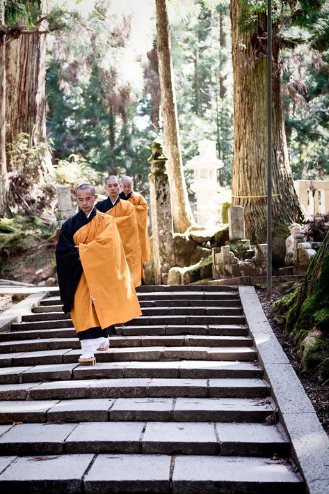 Monks at Okunoin Cemetery in Koyasan | Sleeping in a Japanese Buddhist temple: a unique stay you'll never forget https://www.urbanpixxels.com/buddhist-temple-stay-koyasan/ Mount Koya, Japan Urban, Japanese Buddhism, Japan Holidays, Buddhist Monks, Zen Moments, Zen Buddhism, Buddhist Monk, Buddhist Temple