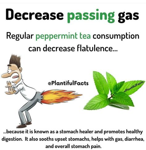 Passing Gas, Food Health Benefits, Natural Healing Remedies, Natural Health Care, Home Health Remedies, Peppermint Tea, Herbs For Health, Health Knowledge, Good Health Tips