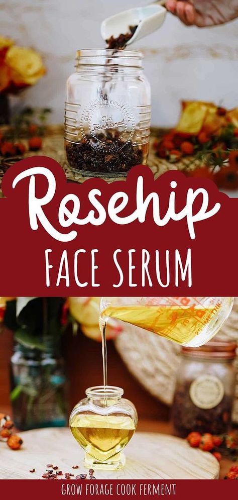 Try this rosehip face serum for a nourishing and revitalizing skincare experience. Made from wild-harvested rose hips, this serum is rich in vitamin C and anti-inflammatory properties, ideal for dry winter skin. Find more winter wellness, vitamin c benefits for skin, herbal face serum recipes, and Herbal Oil Recipes at growforagecookferment.com. Homemade Vitamin C Serum Recipes, Herbal Oil Recipes, Apothecary Recipes, Rosehip Recipes, Herbal Crafts, Face Serum Recipe, Rosehip Oil Benefits, Serum Recipe, Herbal Skincare