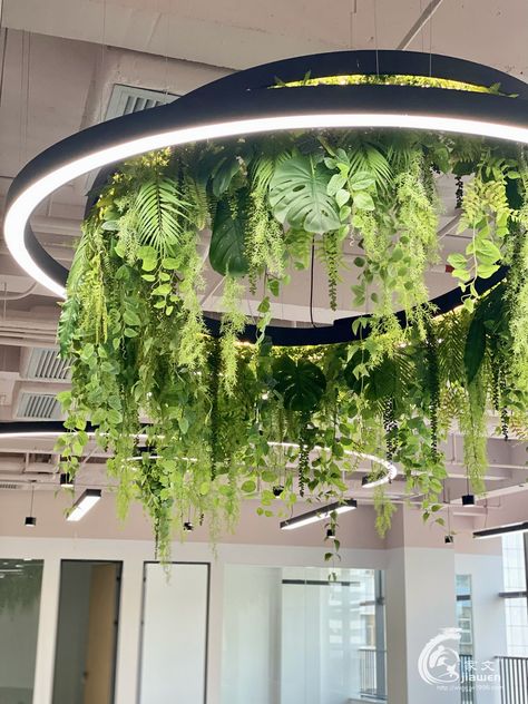 Plant Pendant Light, Futuristic Lobby, Futuristic Garden, Green Wall Design, Bank Design, Wallpaper Ceiling, Salon Interior Design, Spa Room, Eco Design